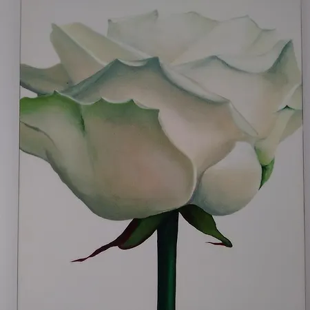 Apartment Ricken House La Rose *