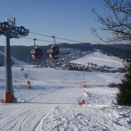 Apartment Ricken House La Rose Willingen (Upland)