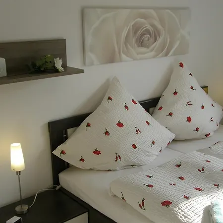 Ricken House La Rose Apartment *